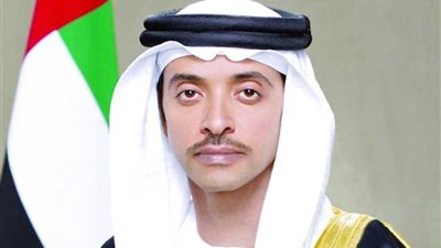 الإمارات وإستونيا تبحثان سبل تطوير العلاقات الثنائية