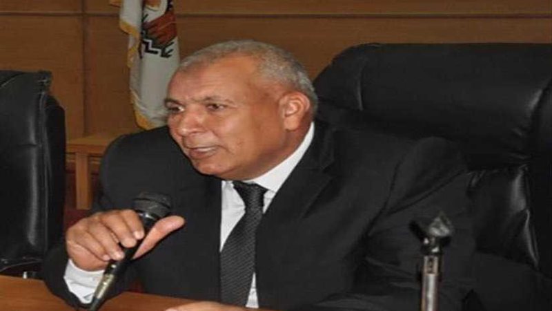 محافظ الوادي الجديد: