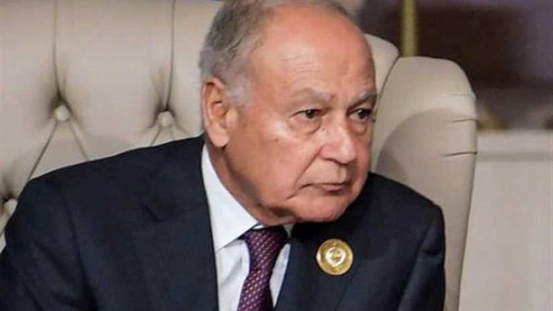 أبوالغيط: التدخلات