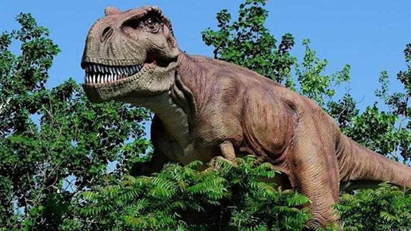 باحثون يكشفون سر