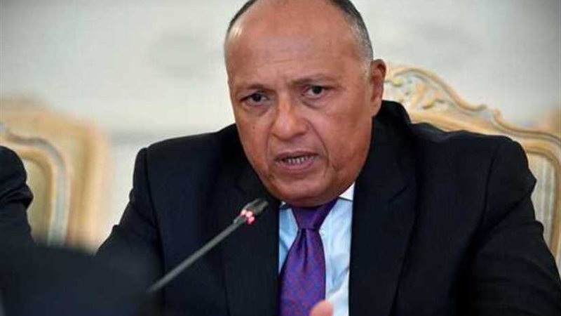 شُكري يُشارك في اجتماع