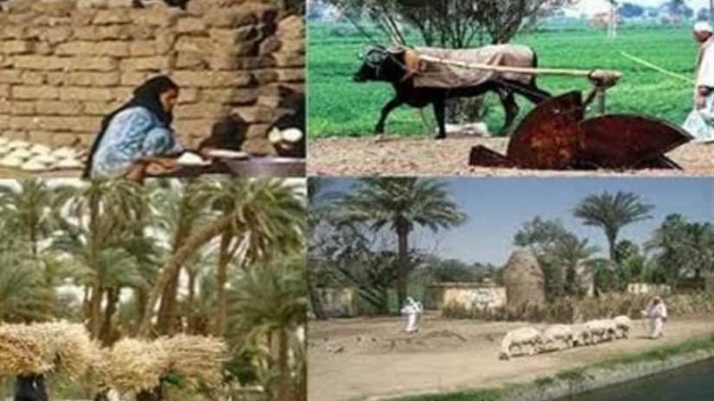 الفلاح أيام زمان