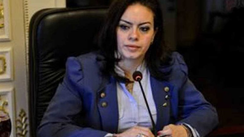 سيلفيا نبيل: زيارة