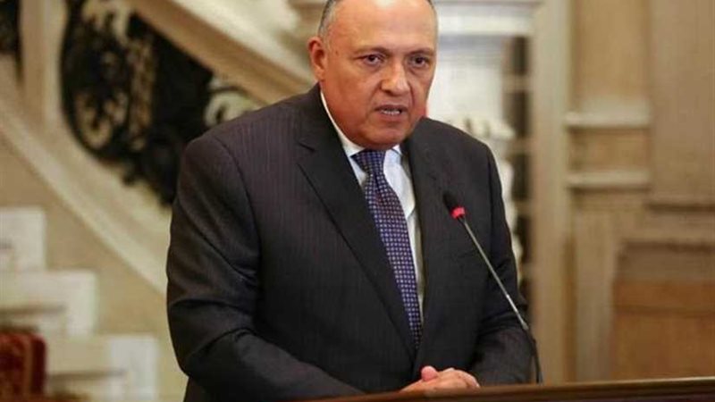 وزير الخارجية يشيد