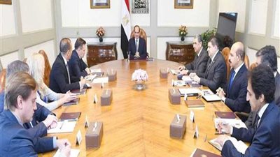 الرئيس السيسي يستقبل مدير عام شركة 