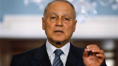 أبو الغيط ينعى ممثله الخاص بليبيا