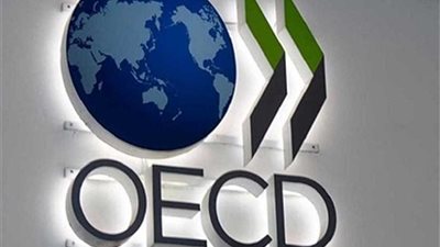 منظمة التعاون الاقتصادي والتنمية: مصر ألهمت العالم بتمكين المرأة ومناهضة العنف