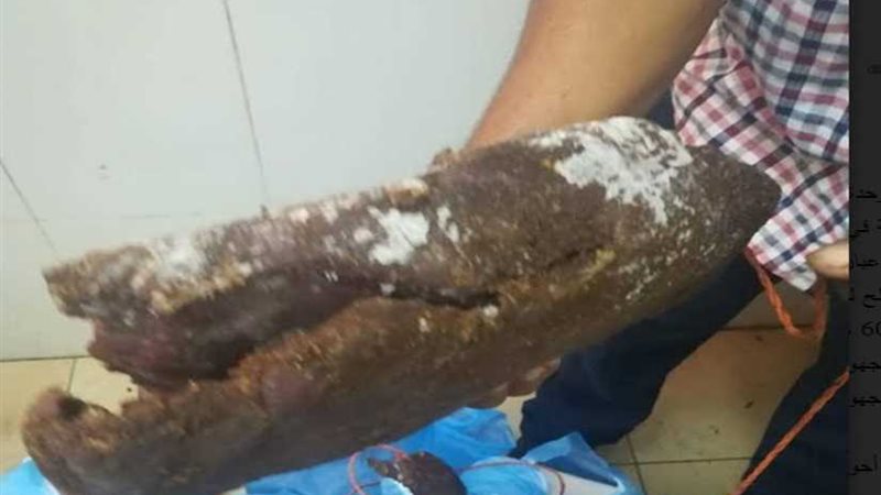 حملة تموينية مكبرة