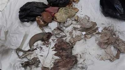 العثور على عظام حيوانات وملابس داخلية مسحورة بـ” مقابر المنوفية“..(صور)