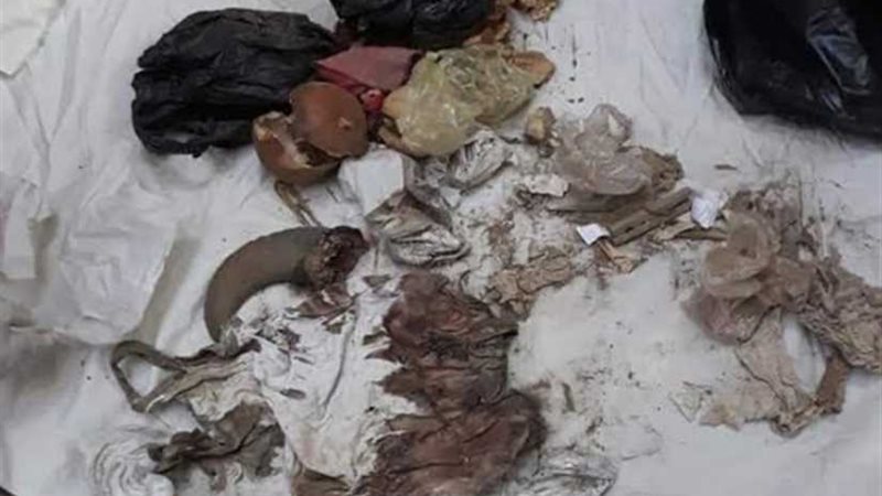 العثور على عظام حيوانات