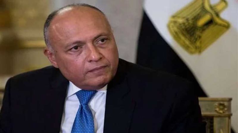 وزير الخارجية : مصر