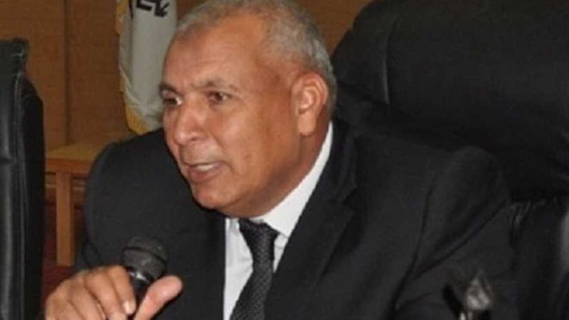 محافظ الوادي الجديد