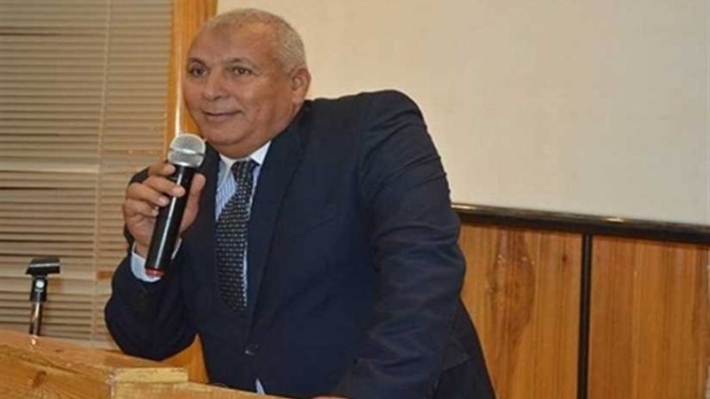 محافظ الوادي الجديد