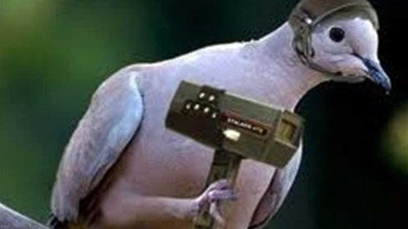 تقرير أمريكي يكشف: