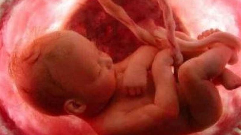 مصري يفوز بجائزة