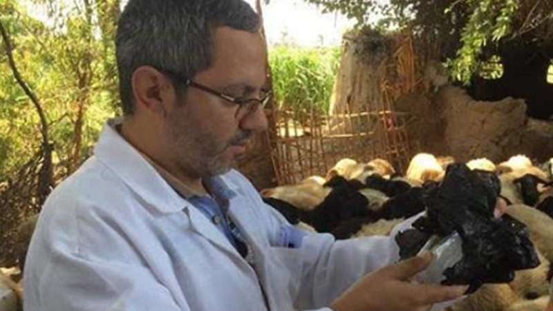 تحصين 26 ألف رأس