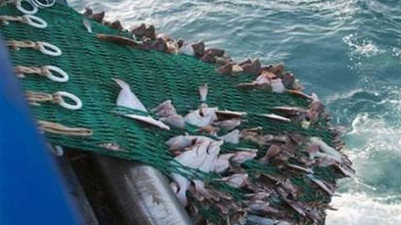 انطلاق موسم الصيد