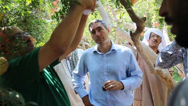 مهرجان لمزارعي الرمان