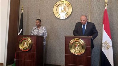 وزير الخارجية يكشف تفاصيل جديدة حول مفاوضات سد النهضة