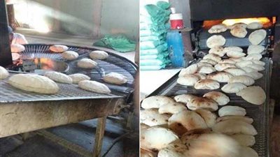 تحرير 52 محضرًا في حملة مكبرة للرقابة على الأسواق بالبحيرة