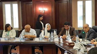 محافظ الإسكندرية لوفد برلماني: التعاون السياسي بين الدول العربية أفضل من الاقتصادي