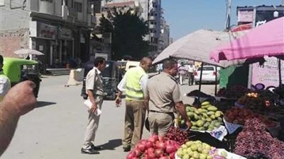 إزالة 456 تعديًا وإشغال طريق متنوعًا بالبحيرة.. (صور)