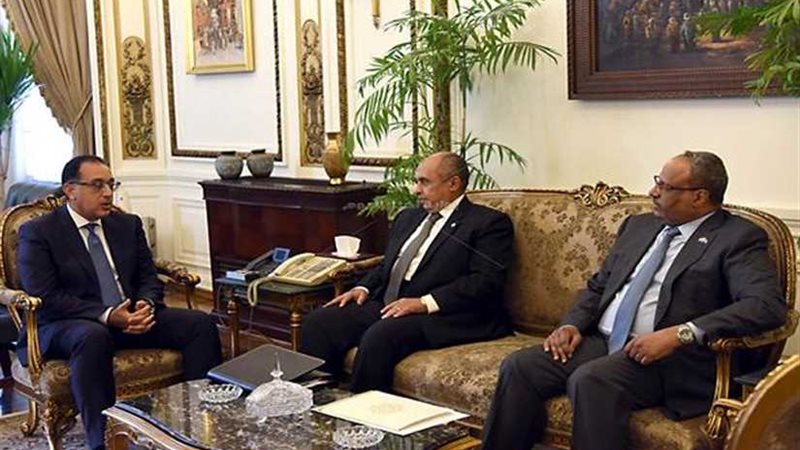 تعاون مصري إماراتي