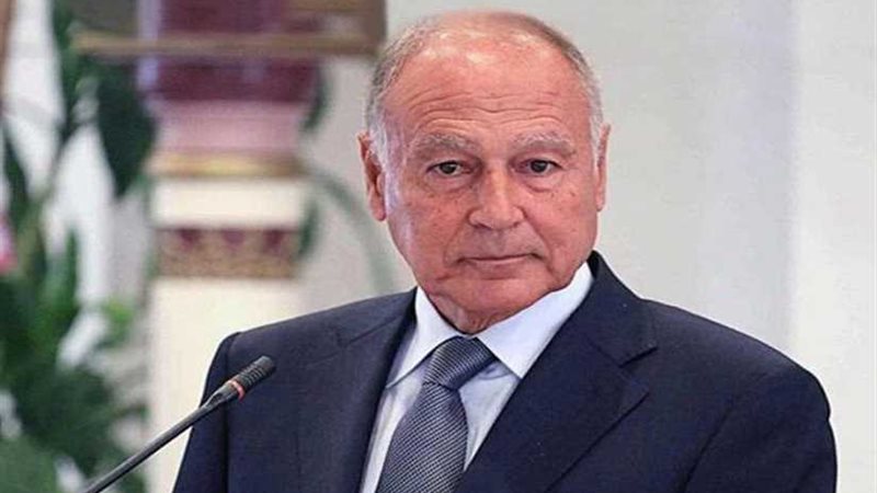 أبو الغيط يدعو إلى