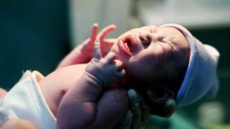 جنين يعود إلى الحياة