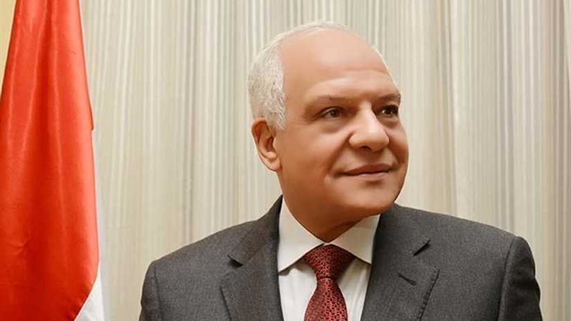 محافظ الجيزة: لجان