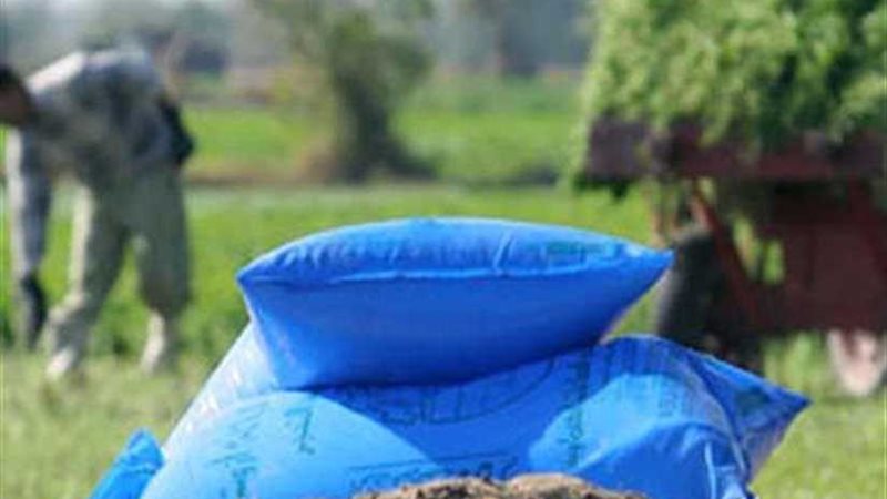 الزراعة تنفي اختفاء