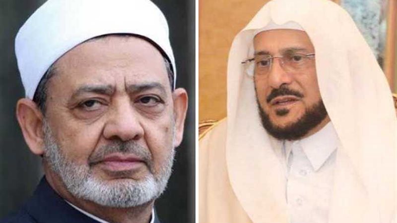 الإمام الأكبر يستقبل