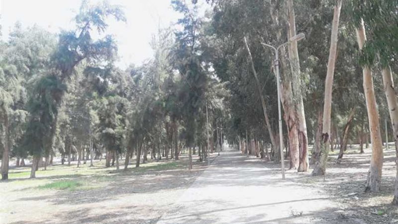 الغابة.. منطقة تروي