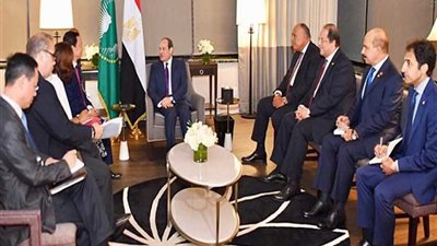 الرئيس السيسي يلتقي مدير عام 