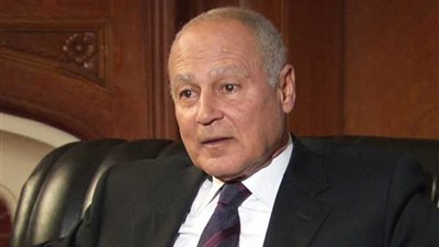 أبو الغيط يشكر وزير خارجية أيرلندا على دعم بلاده لفلسطين