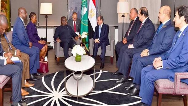 الرئيس السيسي يلتقي