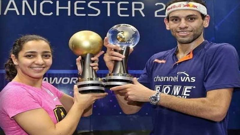 تعرف على مشاركة المصريين