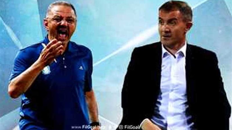 دهاء ميتشو الهجومي