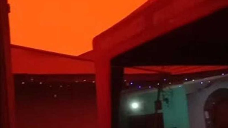 بالفيديو والصور..