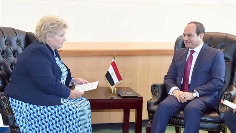 السيسي يبحث سبل دفع