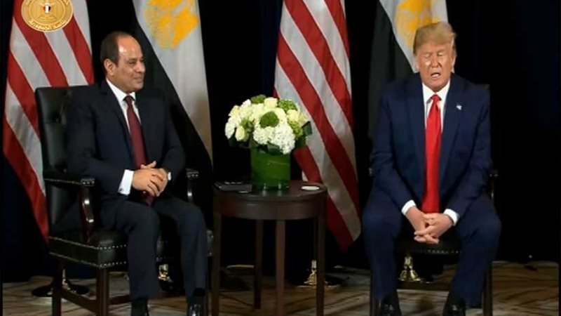 نشرة 24.. الرئيس