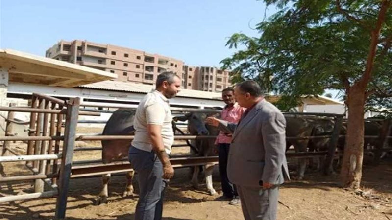 محافظ أسيوط: تطوير