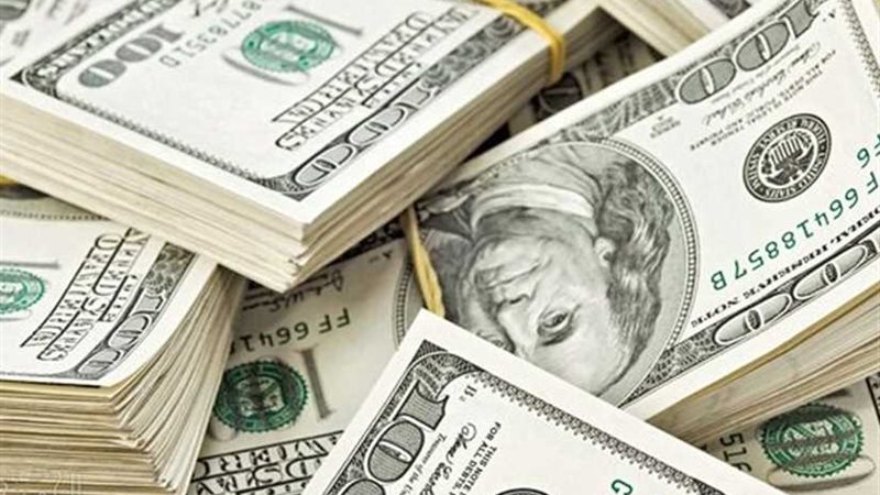 سعر الدولار يستقر