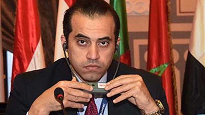 مستشار رئيس مجلس النواب يدعو إلى ضرورة دعم وتطوير المؤسسات البرلمانية العربية