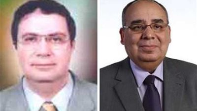 تعيين شحاتة رئيساً لـ 