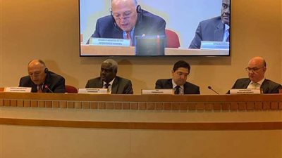 شكري يُشارك في اجتماع مجلس السلم والأمن الإفريقي على المستوى الوزاري في نيويورك