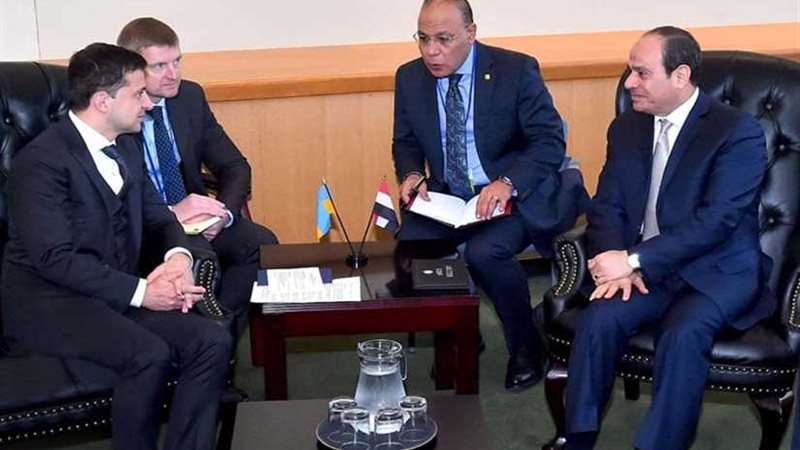 السيسي يلتقي نظيره