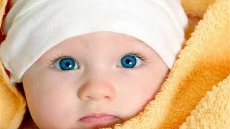 بعيدًا عن المركبات