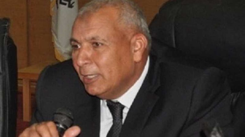 محافظ الوادي الجديد