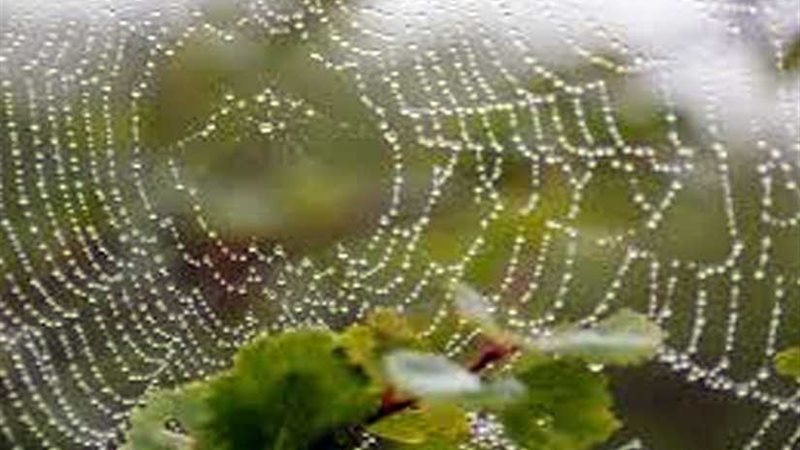 الفنلنديون ابتكروا